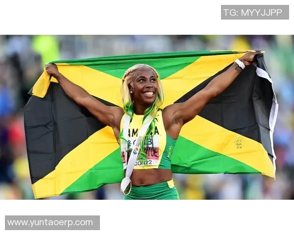 法国退役足球明星盘点与成就回顾