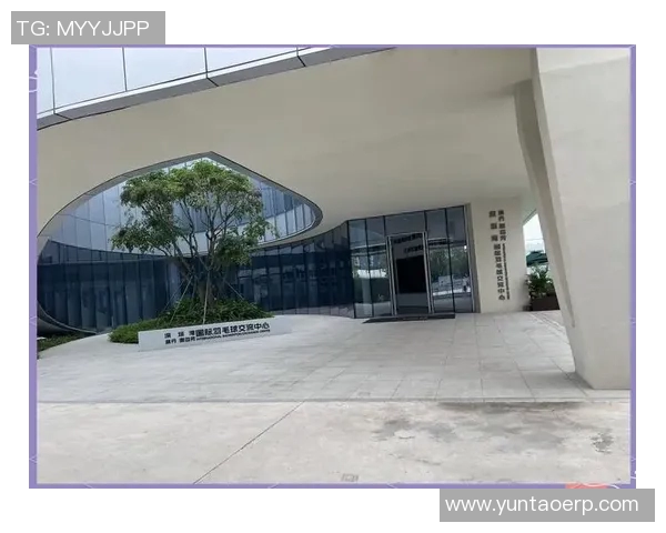 深圳羽毛球队的精神探秘与荣耀之路揭秘